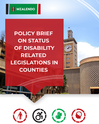Policy Brief On The Status Of Disability Related Legislations In Counties