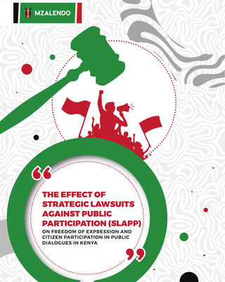 The Effect of Strategic Lawsuits Against Public Participation (SLAPP) on Freedom of Expression and Citizen Participation